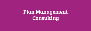 Plan Management Consulting